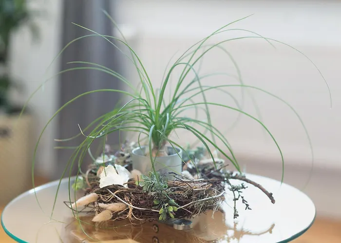 Feldmann Auf Der Mauer Apartment Schmallenberg